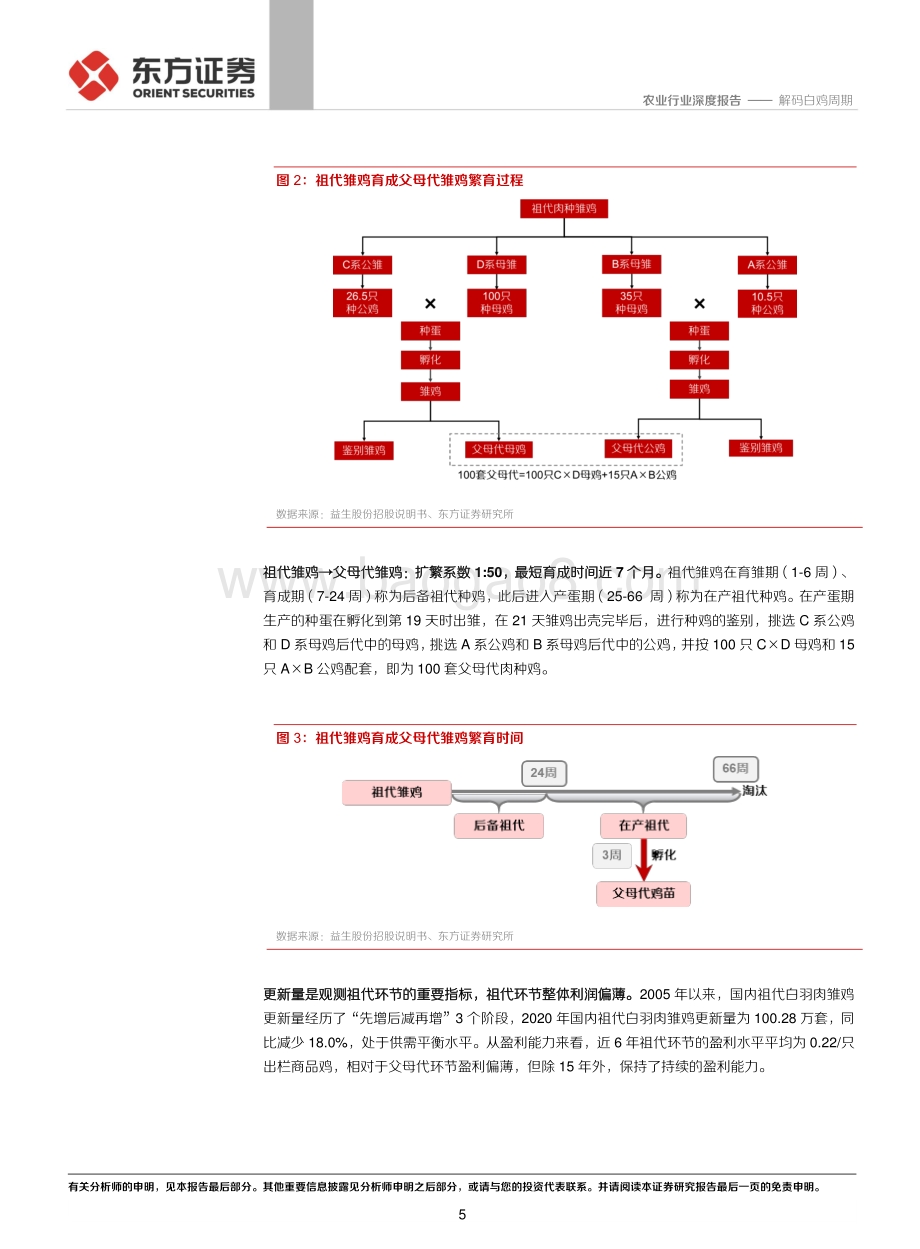 解码白鸡周期.pdf_第5页