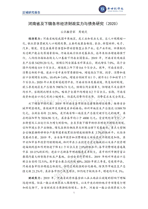 2020河南省及下辖各市经济财政实力与债务研究.pdf