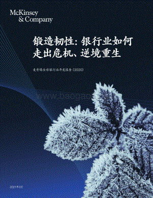 2020全球银行业年度报告.pdf
