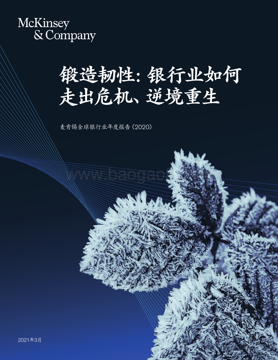 2020全球银行业年度报告.pdf_第1页