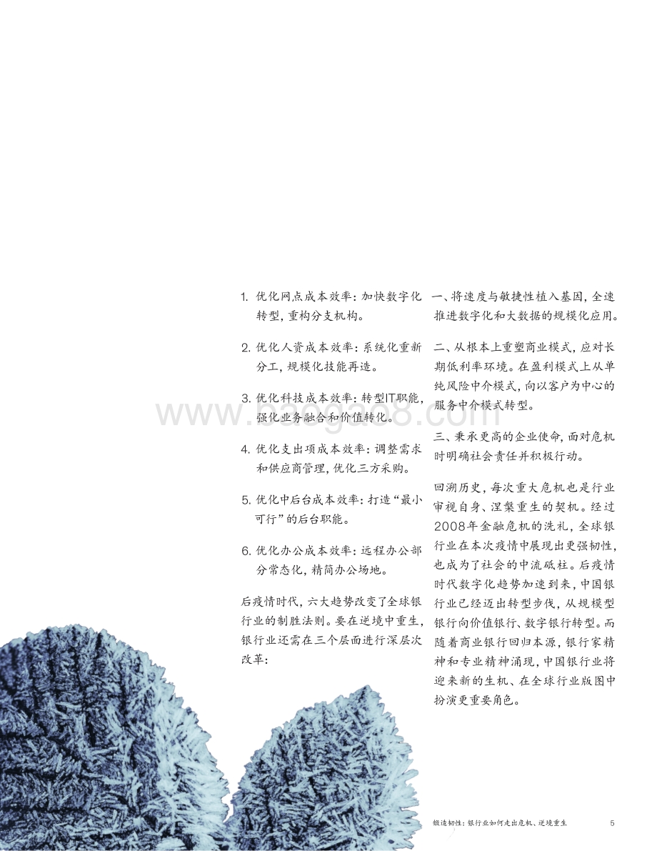 2020全球银行业年度报告.pdf_第5页