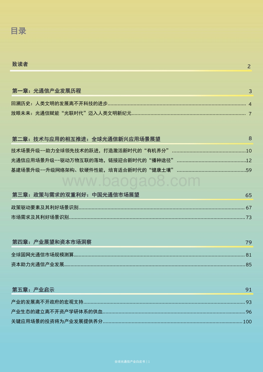 全球光通信产业白皮书.pdf_第2页