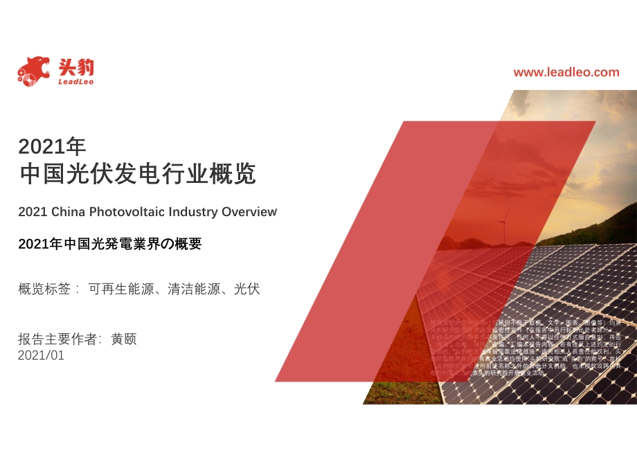 2021年中国光伏发电行业概览.pdf_第1页