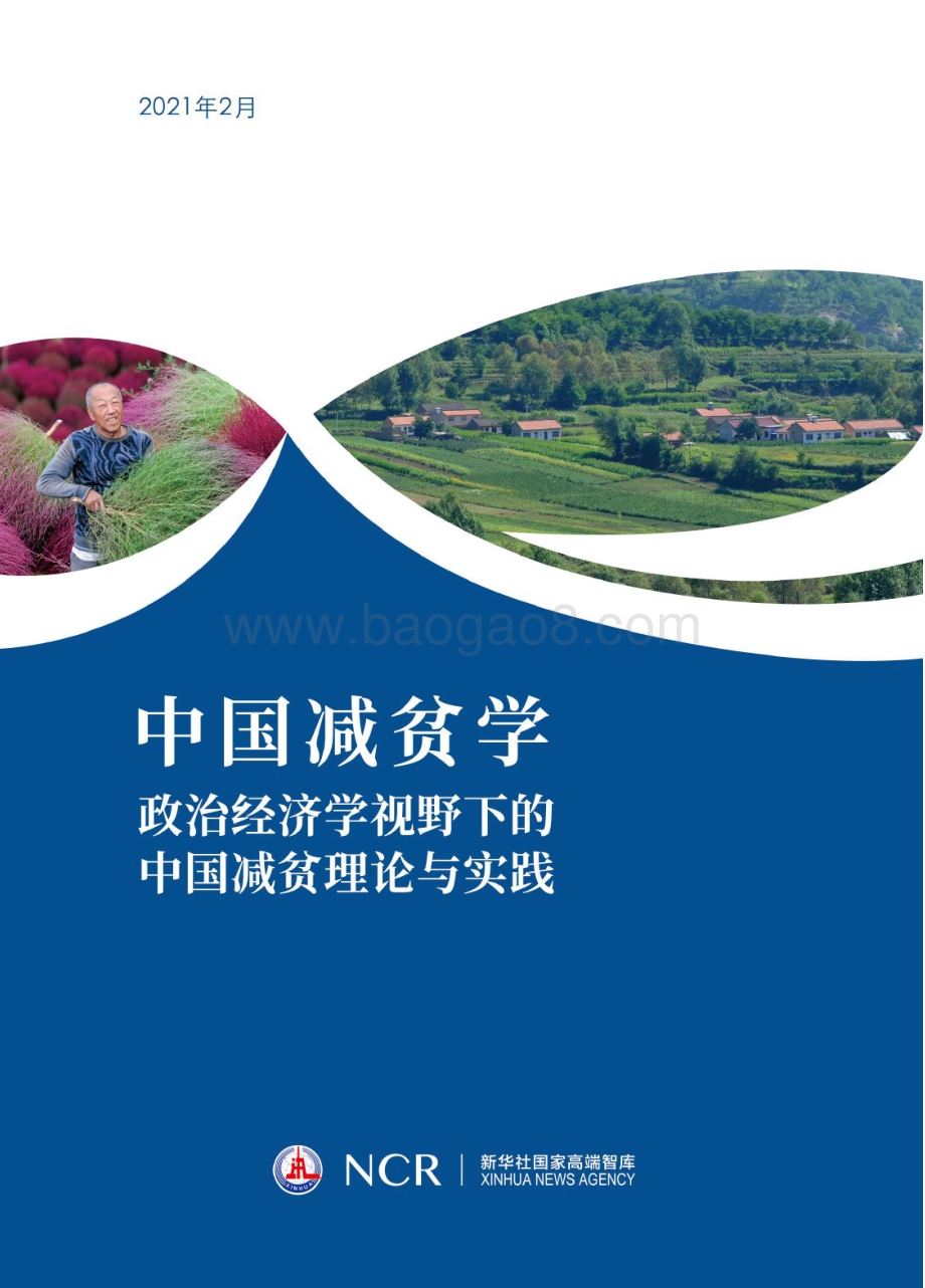 中国减贫学：政治经济学视野下的中国减贫理论与实践.pdf_第1页