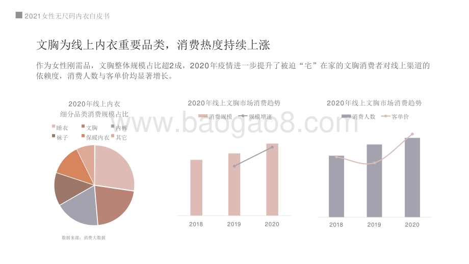 2021女性无尺码内衣研究报告.pptx_第5页