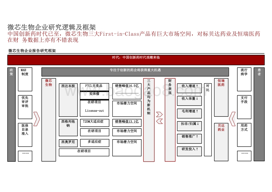 2021年微芯生物企业研究报告.pptx_第5页