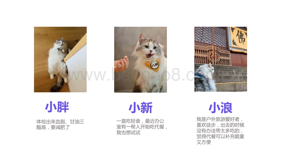 2021代餐行业营销洞察报告.pptx_第5页