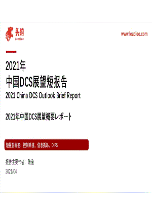 2021年中国DCS展望短报告.pdf
