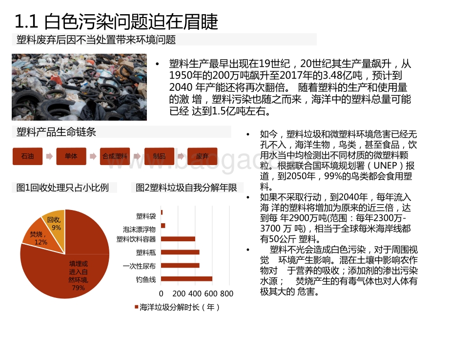 2021可降解塑料产业发展研究报告.pptx_第5页