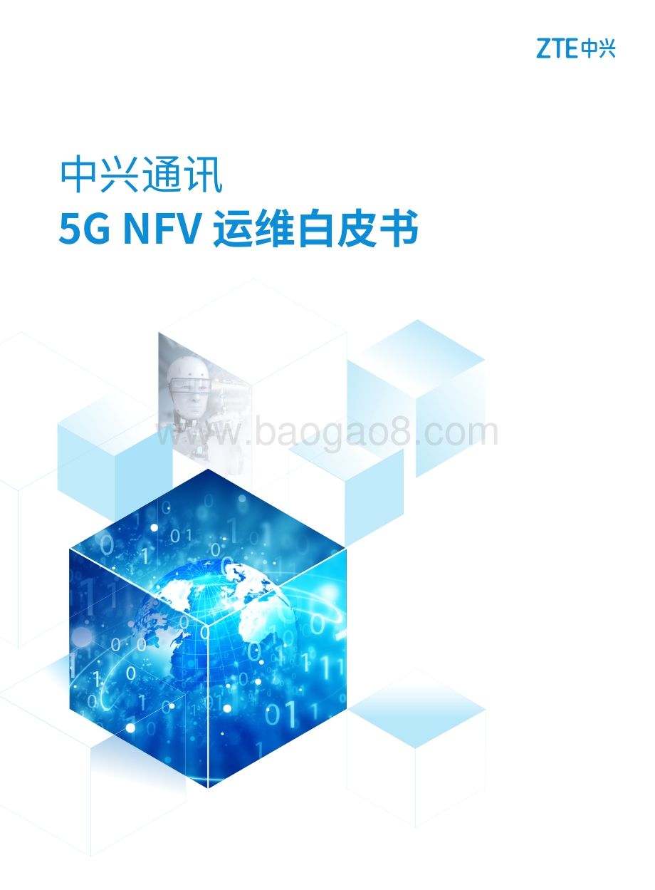 5G NFV运维白皮书.pdf_第1页