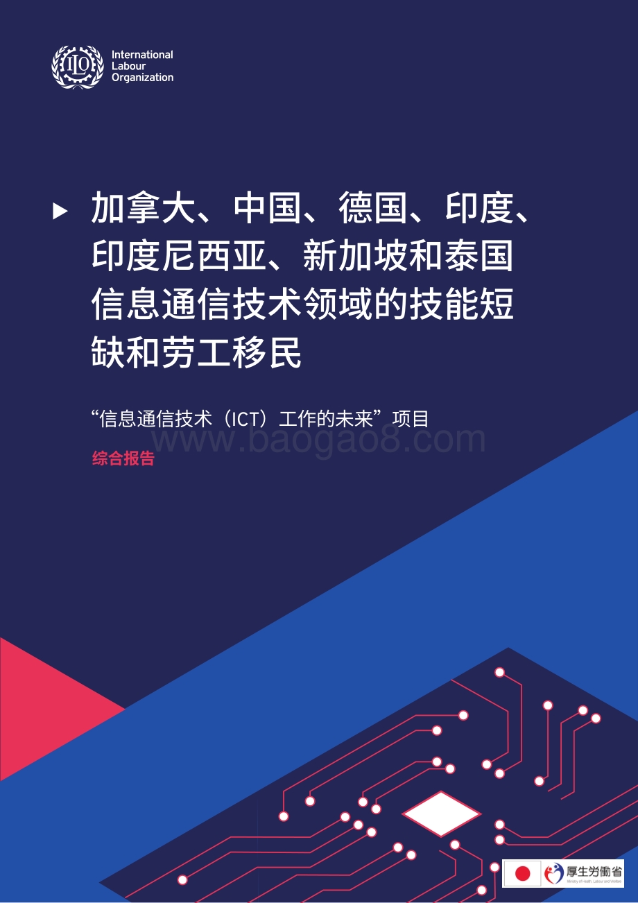 “信息通信技术（ICT）工作的未来”项目综合报告.pdf_第1页