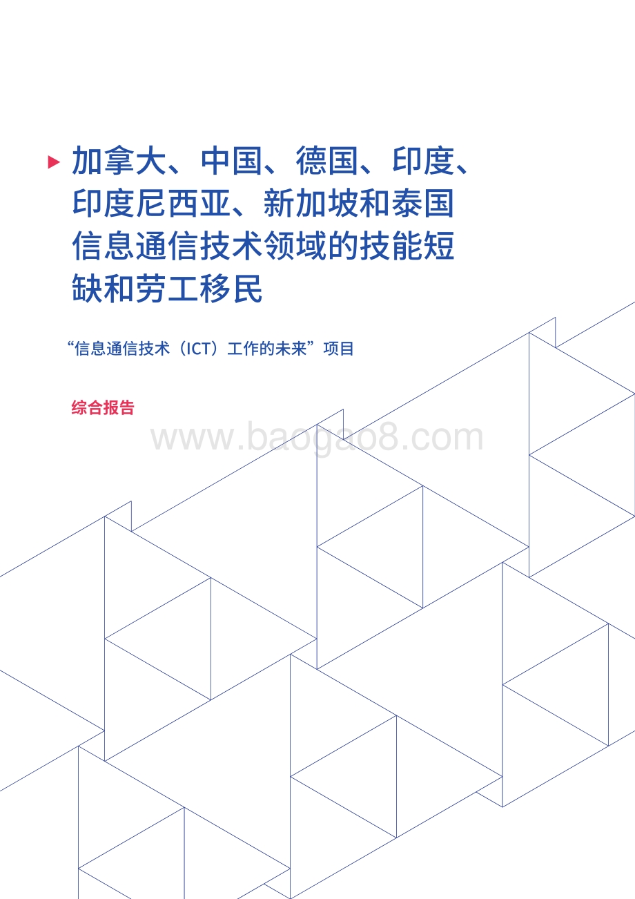 “信息通信技术（ICT）工作的未来”项目综合报告.pdf_第3页