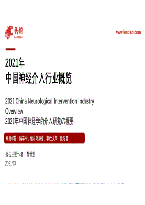 2021年中国神经介入行业概览.pdf