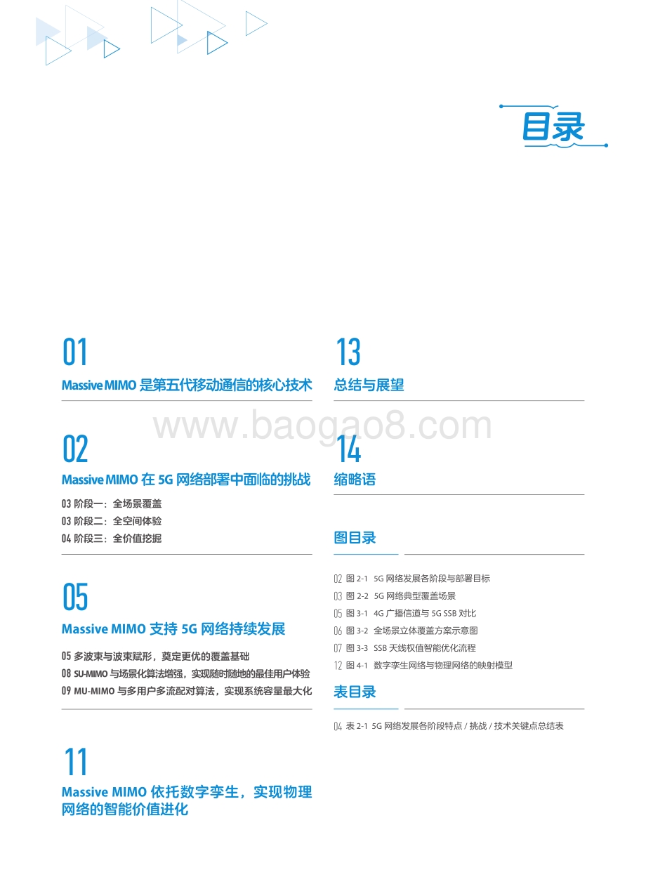 5G Massive MIMO网络应用白皮书.pdf_第2页