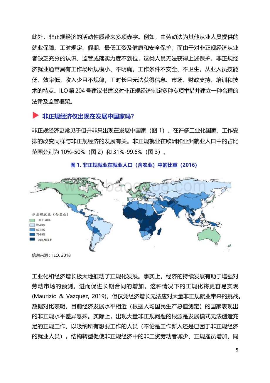 对非正规经济从业者的社会保护.pdf_第5页