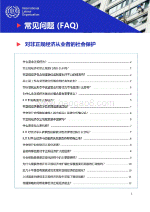 对非正规经济从业者的社会保护.pdf