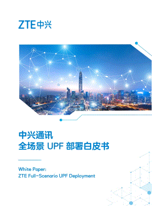 全场景UPF部署白皮书.pdf