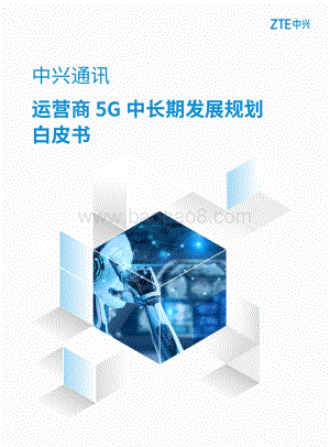 运营商5G中长期发展规划白皮书.pdf