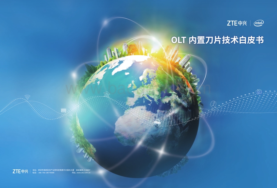 OLT内置刀片技术白皮书.pdf_第1页