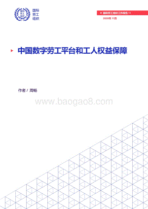 中国数字劳工平台和工人权益保障.pdf
