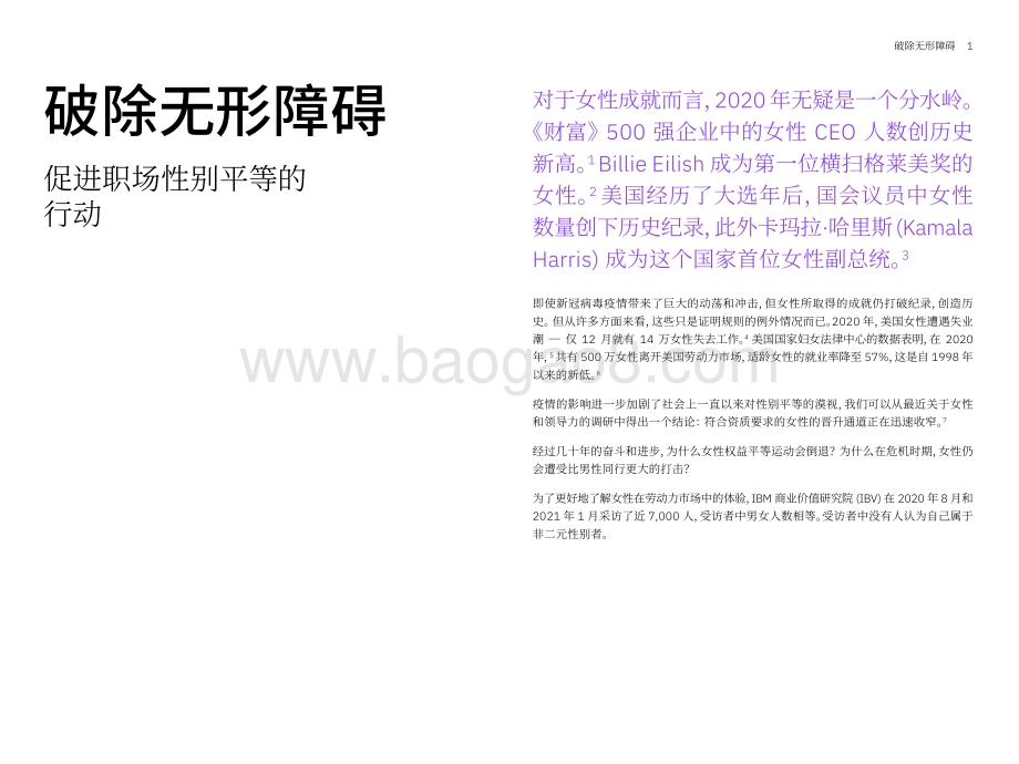 破除无形障碍：促进职场性别平等的行动.pdf_第2页