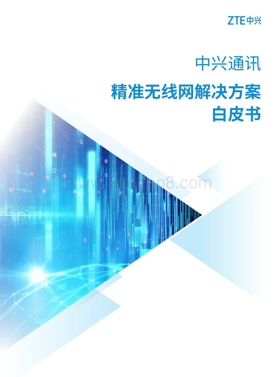 精准无线网解决方案白皮书.pdf_第1页