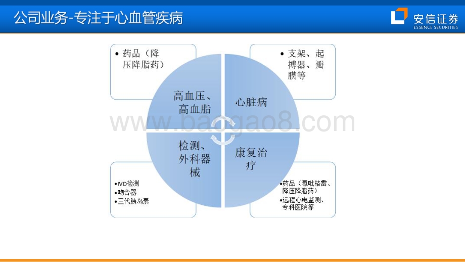 乐普医疗：打造慢病生态、成就未来黄金十年.pdf_第3页