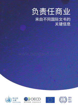 负责任商业：来自不同国际文书的关键信息.pdf
