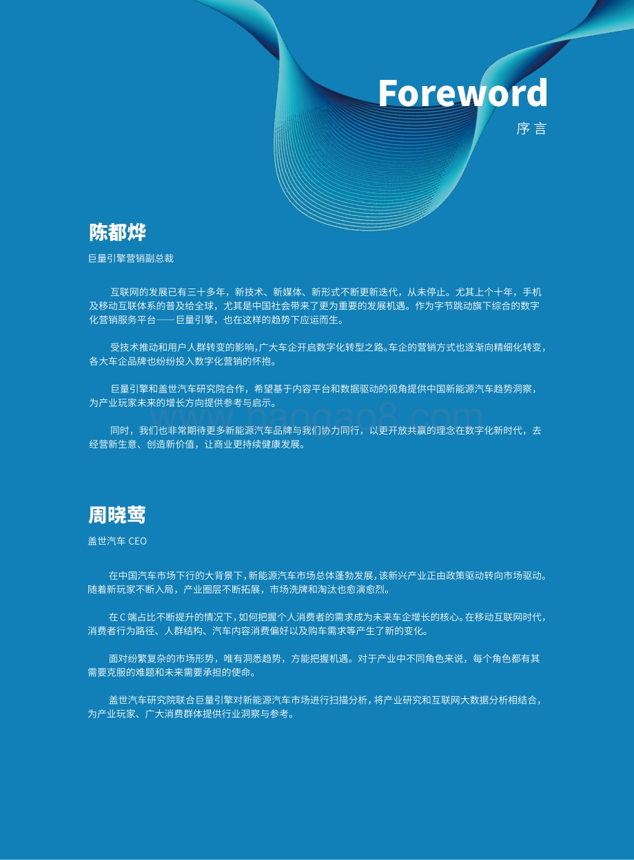 2021中国新能源汽车市场洞察报告.pdf_第3页
