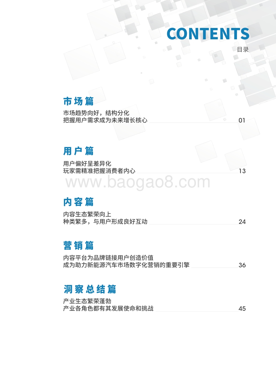2021中国新能源汽车市场洞察报告.pdf_第5页