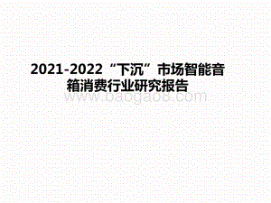2021-2022“下沉”市场智能音箱消费行业研究报告.pptx