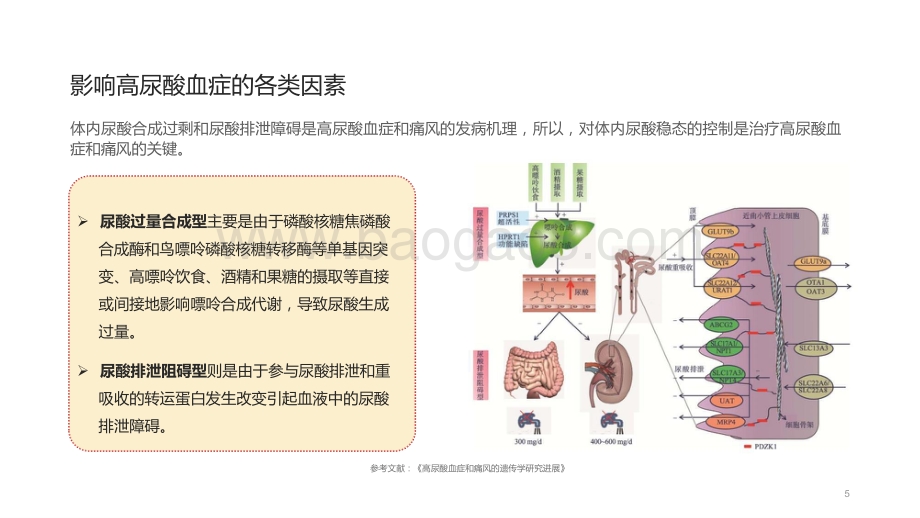 2021-2022中国高尿酸及痛风趋势研究报告.pptx_第5页