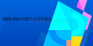 2020-2021母婴行业研究报告.pdf