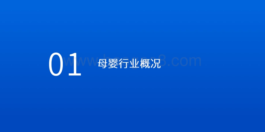2020-2021母婴行业研究报告.pdf_第3页