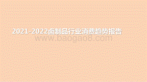 2021-2022卤制品行业消费趋势报告.pptx
