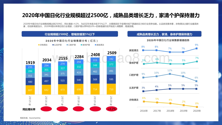 2021年度日化行业研究报告.pptx_第5页