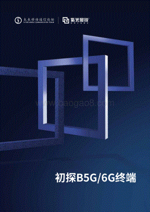 初探B5G 6G终端.pdf