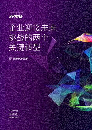 企业迎接未来挑战的两个关键转型.pdf