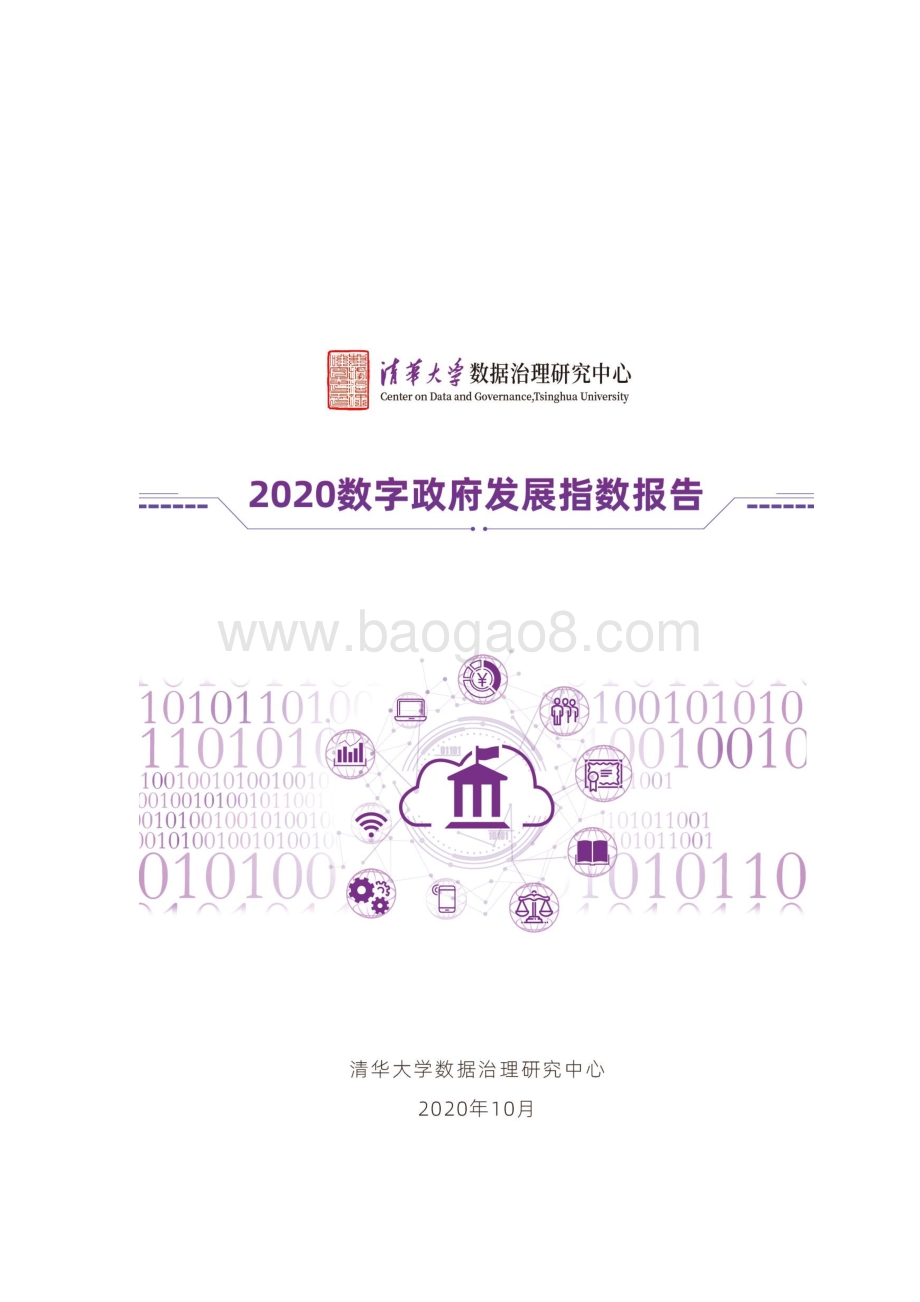 2020数字政府发展指数报告.pdf_第1页