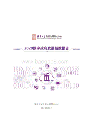 2020数字政府发展指数报告.pdf
