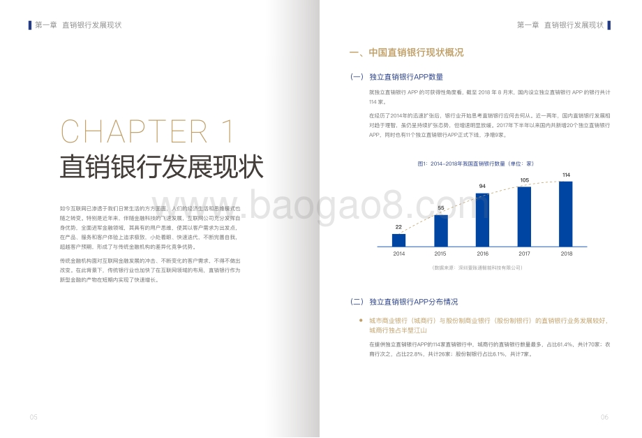 2018中国直销银行蓝皮书.pdf_第5页