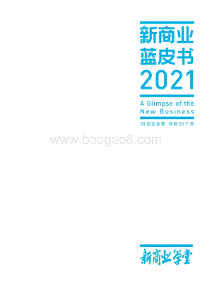 2021新商业蓝皮书.pdf