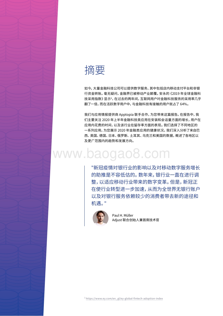 2020年移动金融报告.pdf_第2页