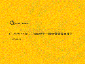2020年双十一网络营销洞察报告.pdf