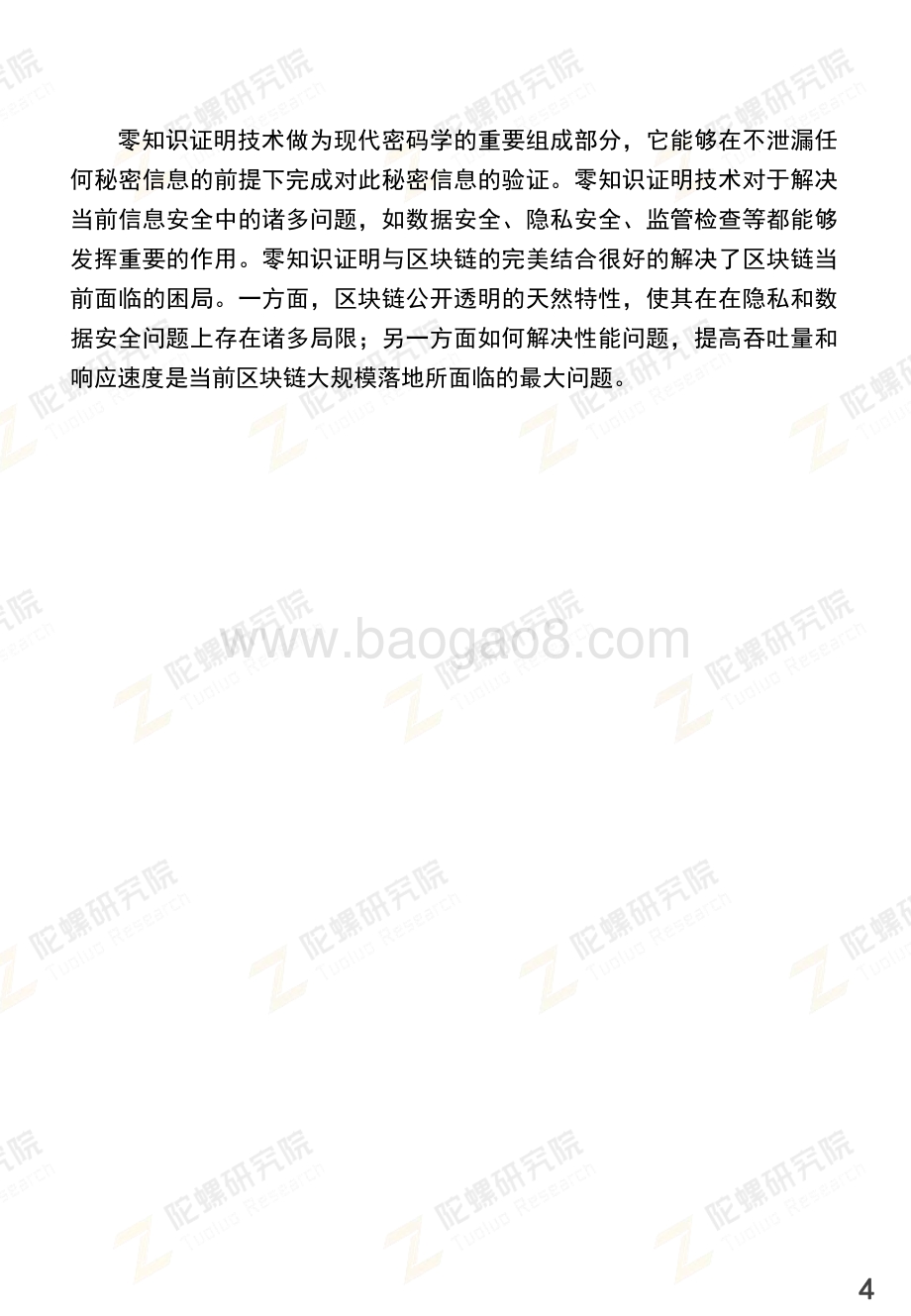 零知识证明技术发展报告.pdf_第4页