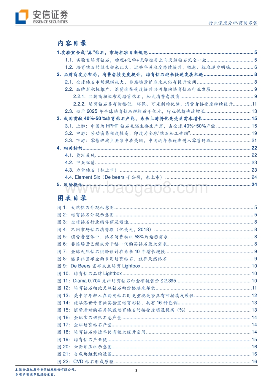 培育钻石深度：新消费浪潮方兴未艾星星之火可以燎原.pdf_第3页