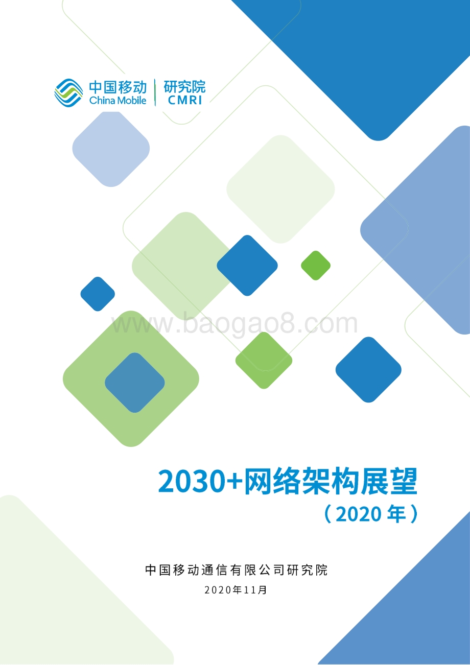 2030+网络架构展望.pdf_第1页