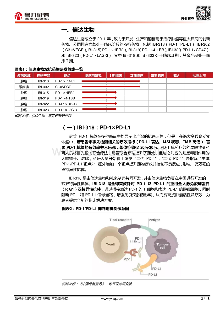 双抗深度报告（五）：国内双抗企业及管线梳理.pdf_第3页