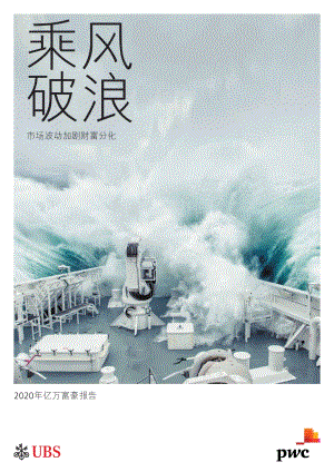2020年亿万富豪报告.pdf