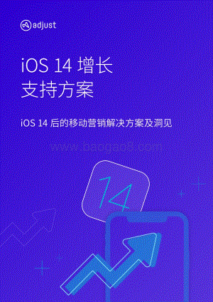 iOS 14增长支持方案：iOS 14后的移动营销解决方案及洞见.pdf